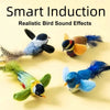 Interactive Motion-Activated Bird Cat Toy with Natural Feathers
