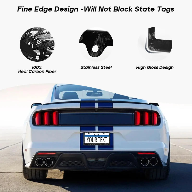 Carbon Fiber License Plate Frame with Anti-Rust Protection