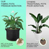 Fabric pots demonstrating premium aeration compared to traditional pots with poor aeration.