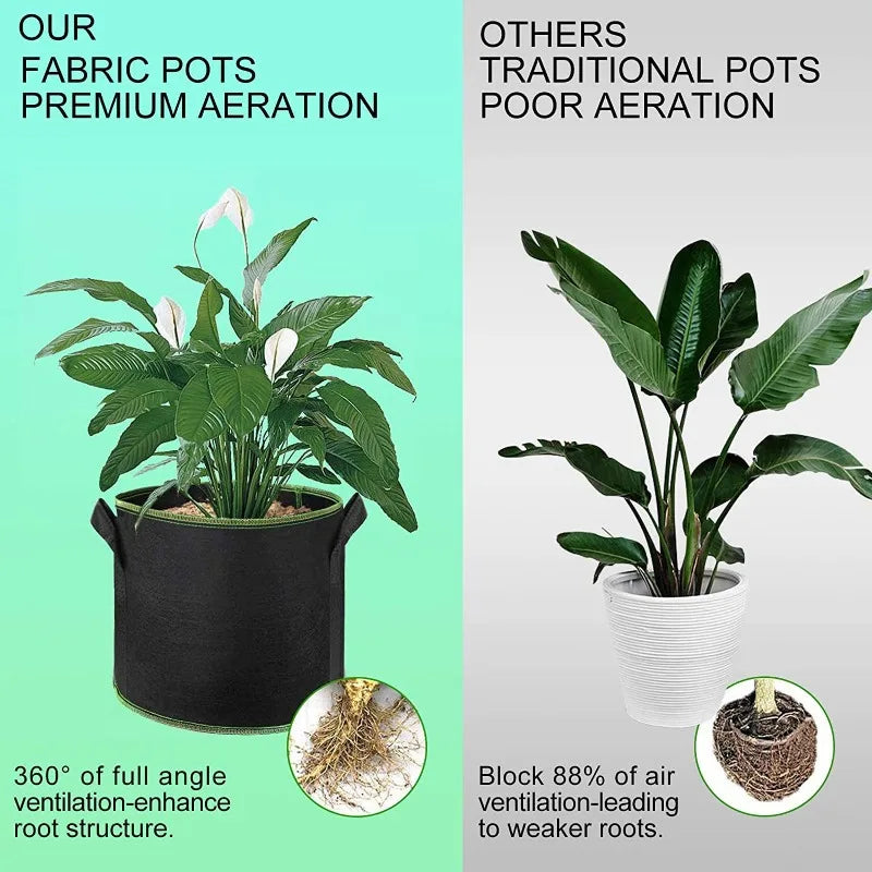 Fabric pots demonstrating premium aeration compared to traditional pots with poor aeration.