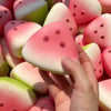 Watermelon Slow-Rise Stress Relief Squishy