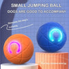 Interactive Auto-Rolling Dog Toy Ball