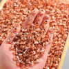 Mini Capybara Figurines for Fairy Gardens and DIY Crafts