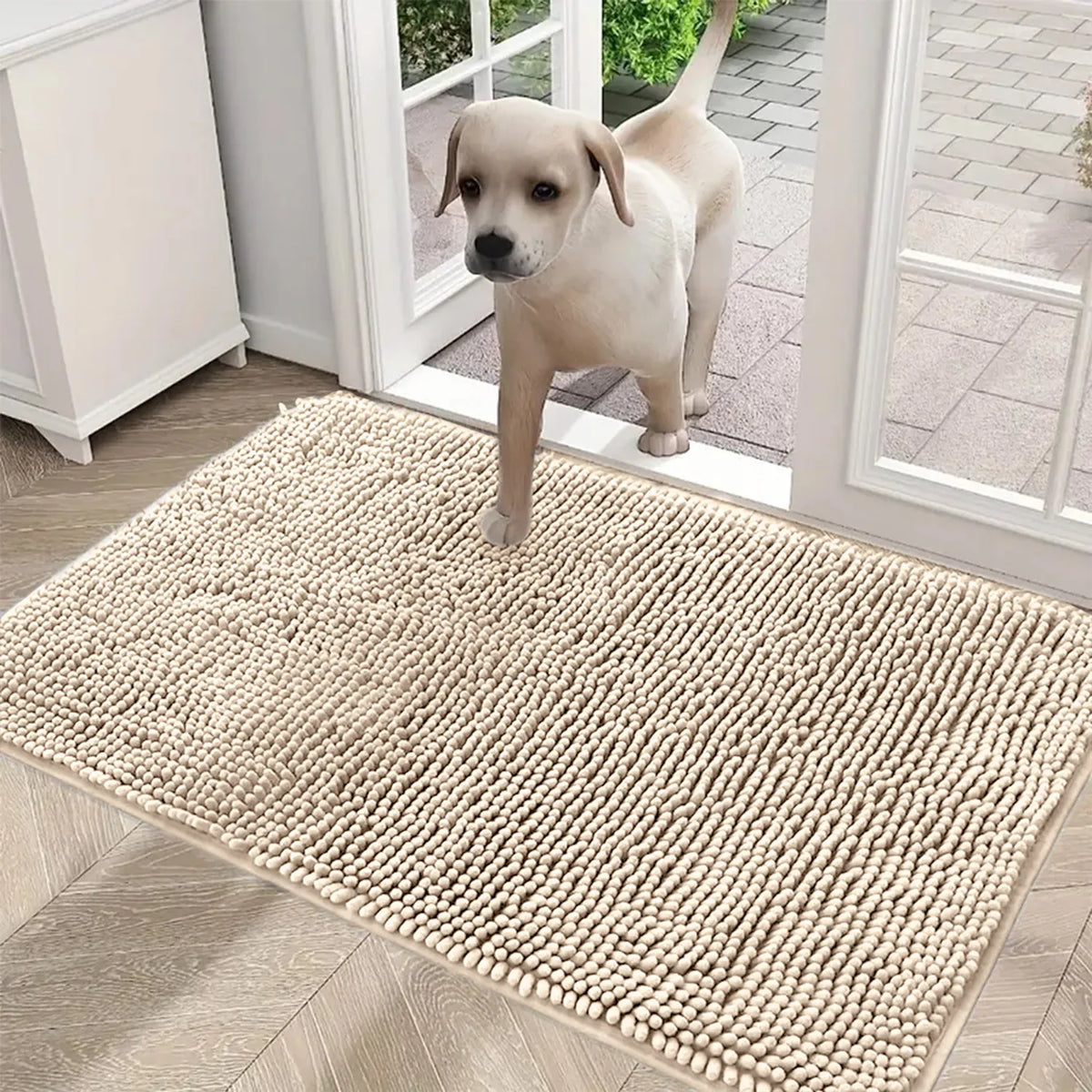 Ultra-Absorbent Chenille Door Mat with Non-Slip Backing