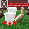 Automatic Poultry Drinking Cup