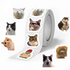 Funny Cat Graffiti Stickers for Personalization