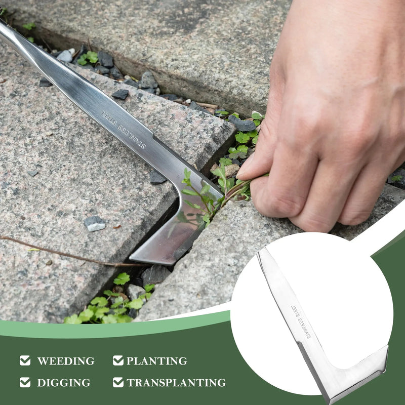 Stainless Steel Crevice Weeder with Wooden Handle