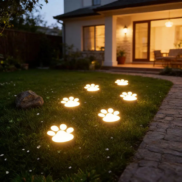 Quatre lumières solaires pour pattes de chien illuminent un chemin herbeux au crépuscule.