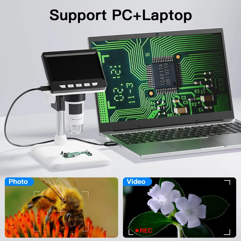 A digital microscope is shown supporting a laptop, with an inset photo of a bee and a flower.
