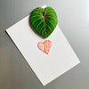 Acrylic Leaf Magnets Set - Fridge Decor