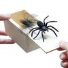 A hand is opening a wooden box revealing a black spider trick toy with a pop-out feature.