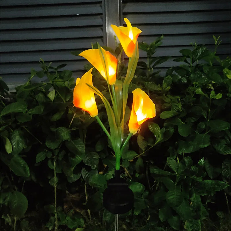 A bright yellow calla lily flower illuminated by a solar-powered LED light in a garden setting.