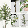 Lifelike Artificial Olive Tree in Black Pot with Natural Wood Trunk