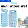 Mini Disposable Hand & Mouth Wipes - Portable Travel Pack