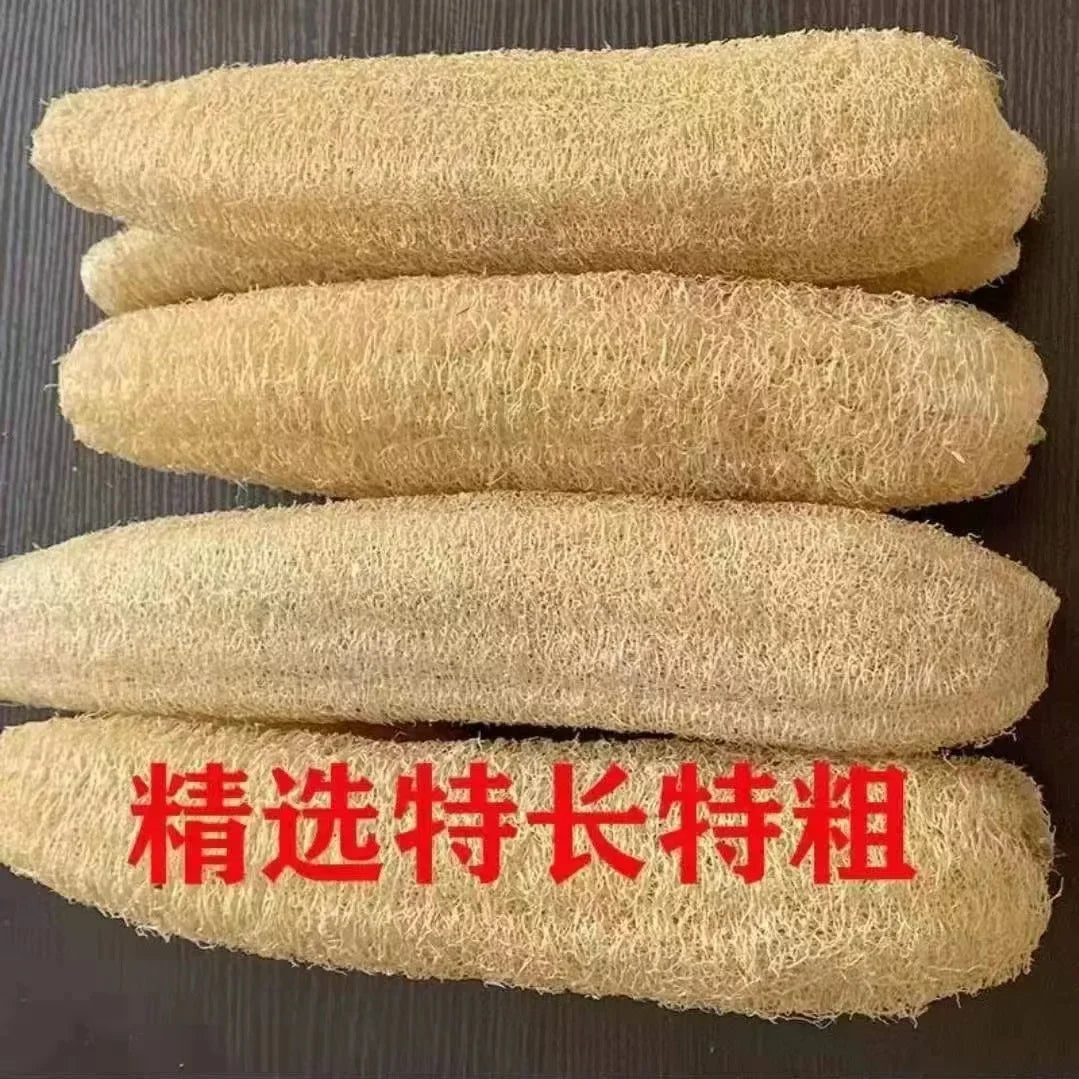 Three natural loofahs or body scrubbers are displayed horizontally on a dark surface.