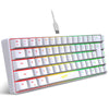 Compact 68-Key RGB Gaming Keyboard with USB Wired Connection