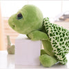 Adorable Big-Eye Green Turtle Plush Toy – Soft 20cm
