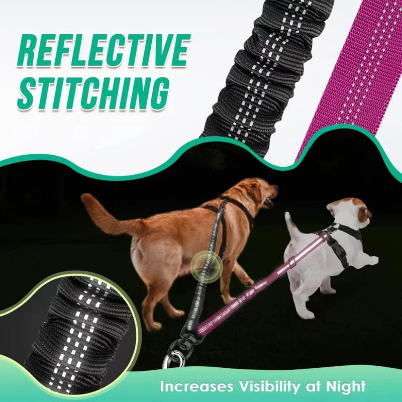 Dual Dog Leash with Shock-Absorbing Bungee