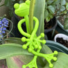 Frog-Shaped Plant Support & Vine Climbing Holder Set