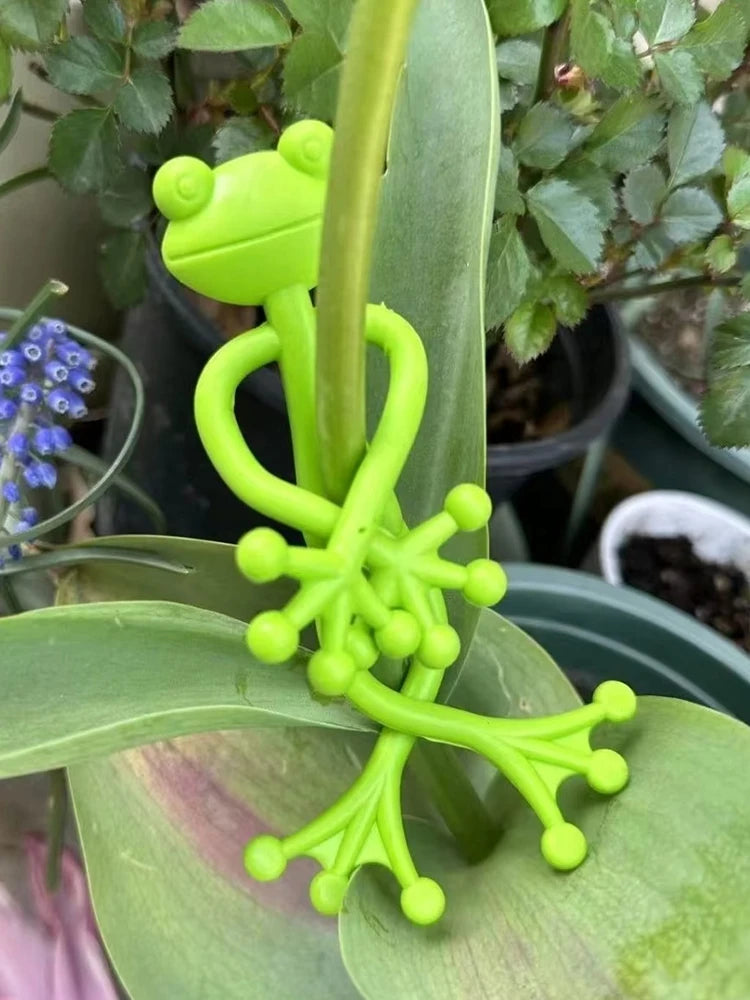 Frog-Shaped Plant Support & Vine Climbing Holder Set