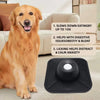 Interactive Slow Feeder Bowl with Suction Base