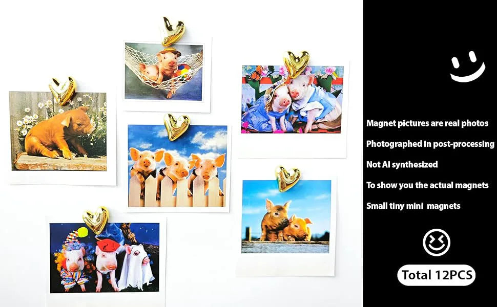A collection of twelve heart-shaped refrigerator magnets featuring various animals and scenes.
