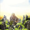 Natural grey aquarium stones covered in green moss and plants for aquascaping
