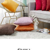 Velvet Throw Pillow Cover for Sofa and Bed Decor