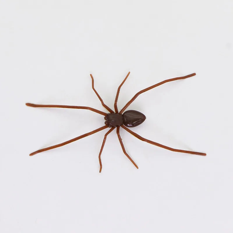 Araignée brune réaliste à huit pattes et corps sombre, utilisée comme aimant de réfrigérateur.