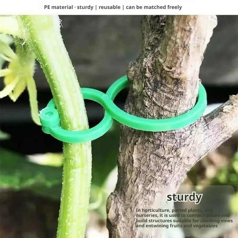 Green PE material garden plant support clips used for tying vines and fruits to branches