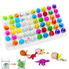 Dinosaur Egg Hatching Kit - 60 Pack