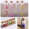 Mini Cork Stopper Glass Bottles for DIY Crafts & Decor