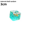 A translucent turquoise ocean shell cube with colorful sea life decorations.