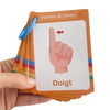 French Vocabulary Flashcards for Kids - Food, Animals, Fruits & Body Parts