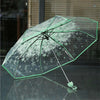 Clear Bloom Folding Umbrella with Floral Print