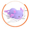 Squishy Salamander Stress Relief Toy