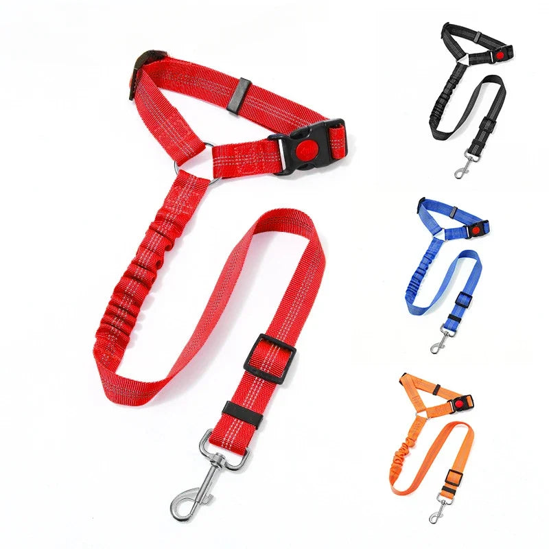 A collection of four adjustable reflective dog car safety harnesses in red, blue, orange, and black.