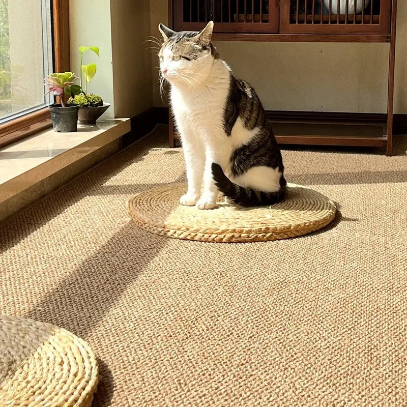 Minimalist Faux Sisal Jute Rug with Anti-Slip Backing