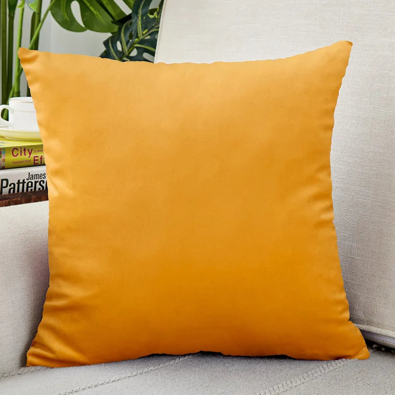 Velvet Throw Pillow Cover for Sofa and Bed Decor