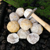A cluster of natural agate geode crystals and a wooden hammer resting on dark soil next to green moss.