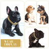 Diamond Cuban Link Dog Collar