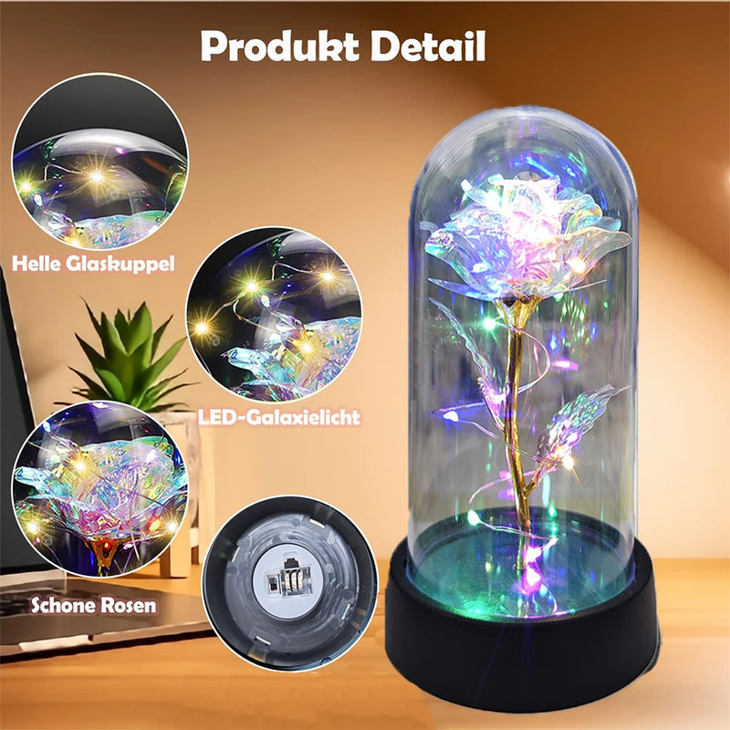 Präsentierte Rose in Glaskuppel mit LED-Beleuchtung