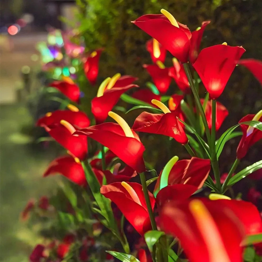 A close-up of vibrant red calla lily flowers illuminated by LED lights in a garden setting.