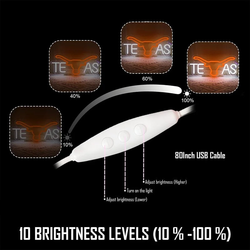 A white USB light with an orange cow head neon sign is shown alongside brightness level indicators.