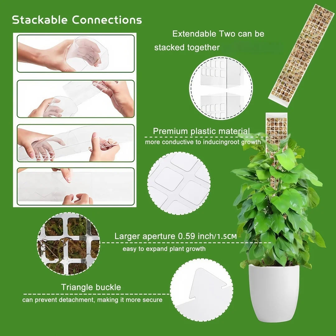 Stackable connections and triangle buckle features of a durable plastic plant moss pole for climbing indoor plants
