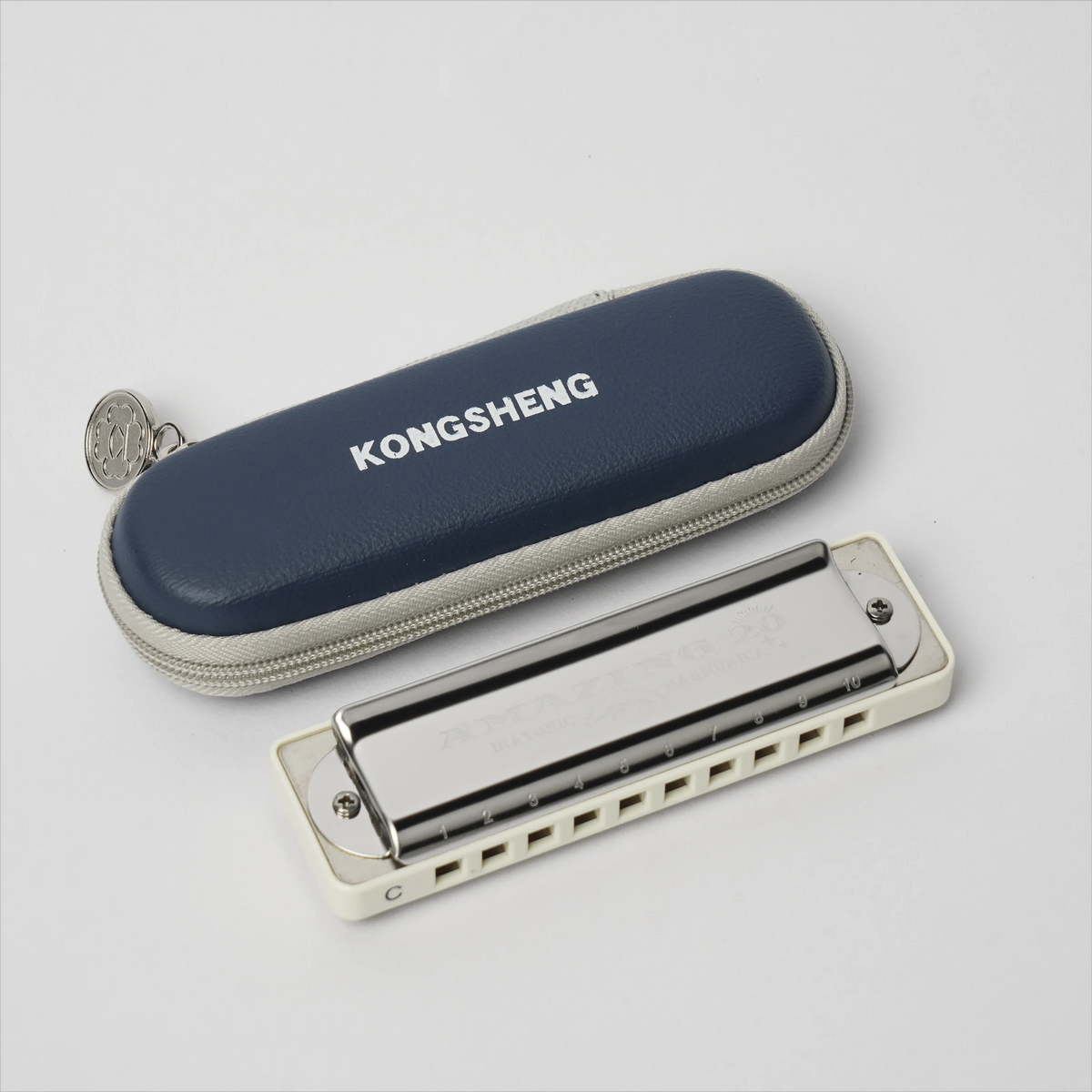 Professional 10-Hole Diatonic Harmonica with Phosphor Bronze Reeds