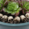 Set of 20 Gothic Skull Figurines for Halloween Decor