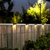 A row of solar deck lights illuminates a wooden fence and surrounding greenery at night.