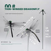 Realistic Dragonfly Clips for Decoration