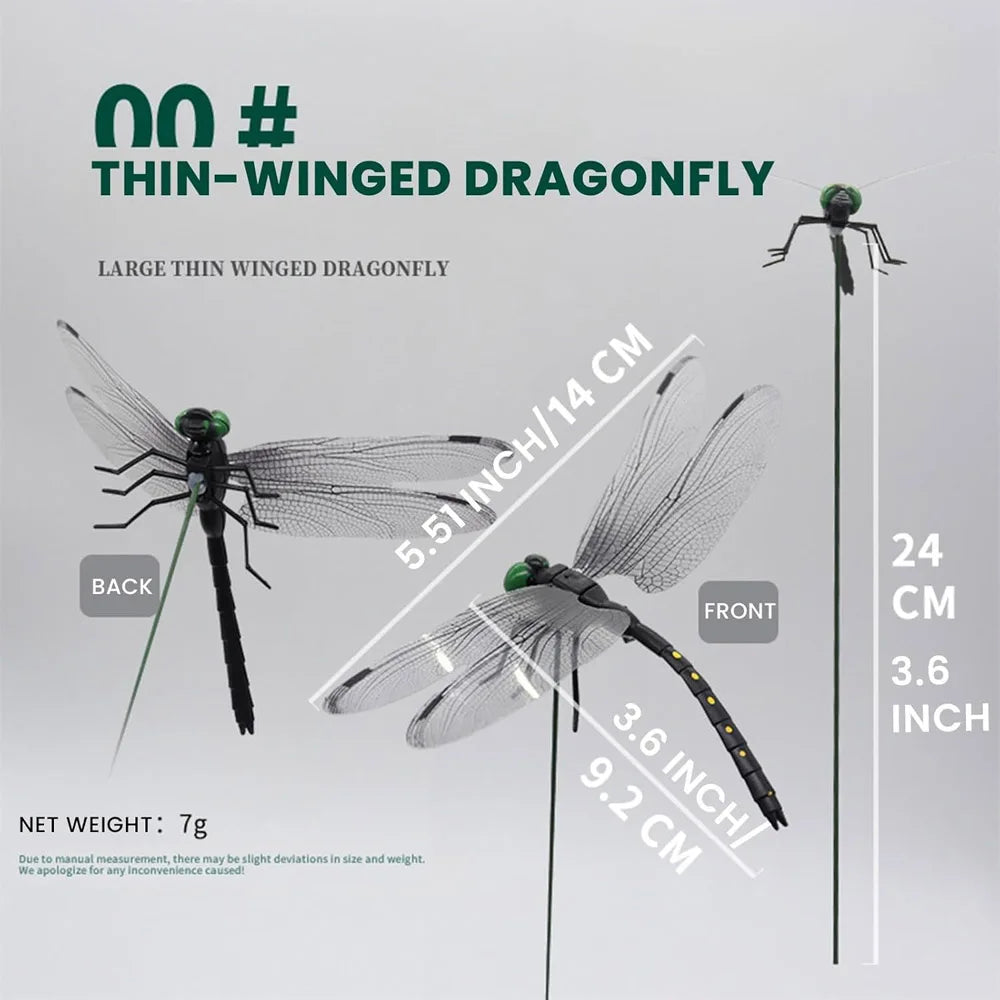Realistic Dragonfly Clips for Decoration